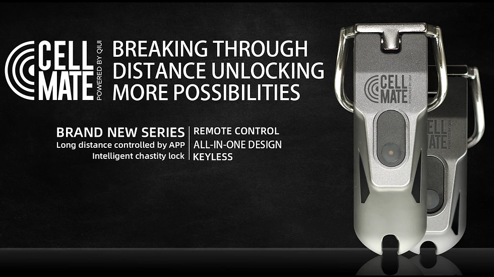 Permanent Chastity Device Permanent Chastity Device